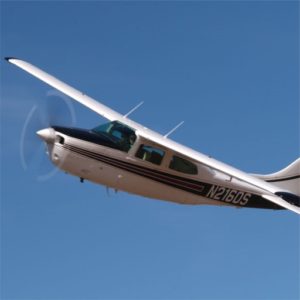 Fly for the Cure